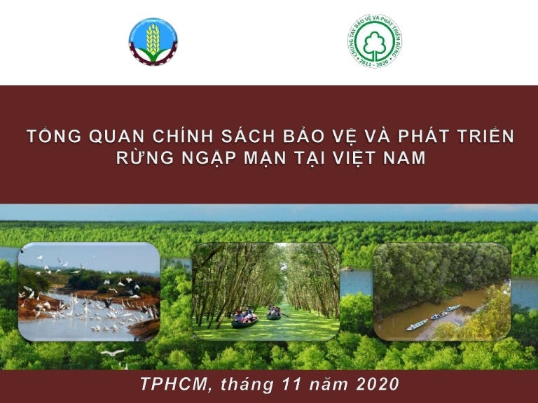 thumbnail of  Tổng quan về chính sách bảo vệ và phát triển rừng ngập mặn tại Việt Nam
