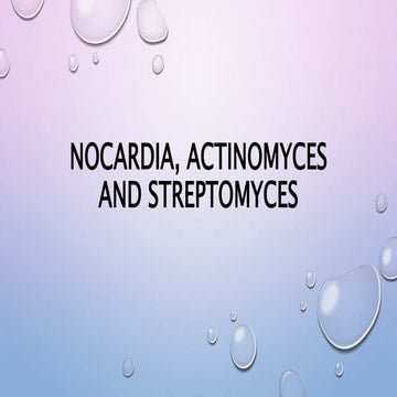  Nocardia, Actinomyces and  Streptomyces 