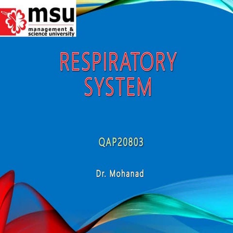 1@nose and nasal cavity