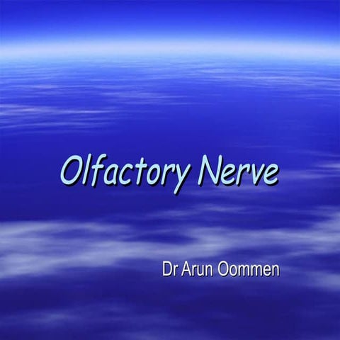  olfactory nerve