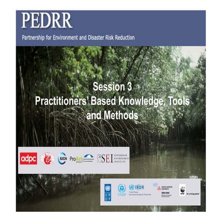 1 overview presentation pedrr workshop session 3