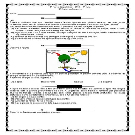 1ª p.d (ciências - 5º ano) | DOCX