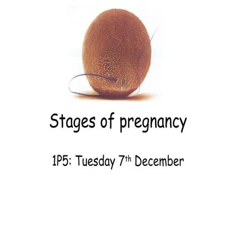 1 p5 pregnancy 071210