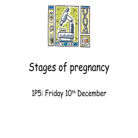 1 p5 pregnancy 101210