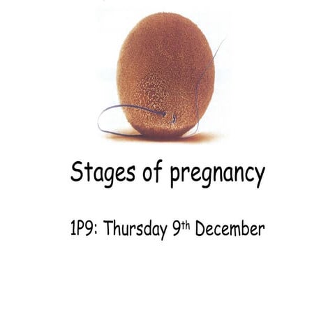 1 p9 pregnancy 091210