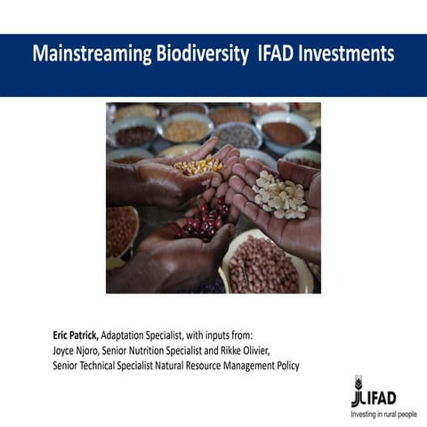 Mainstreaming Biodiversity IFAD Investments