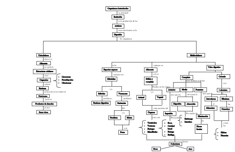 Mapa conceptual de patrones de la alimentación heterótrofa