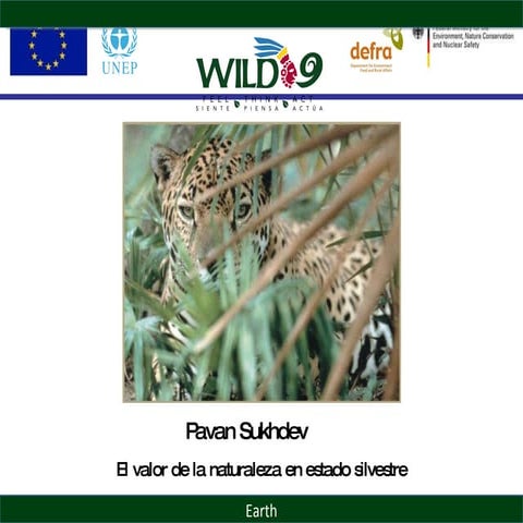 Pavan Sukhdev, Wild9