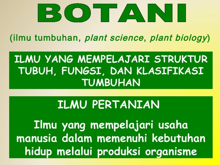 Botani Adalah Ilmu Yang Mempelajari Tentang