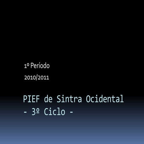 1ºperiodo(pps)