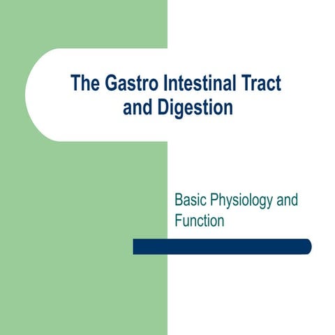 #1 physiology of the digestive system