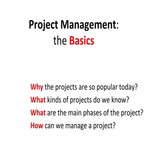 Project Managemet Basics