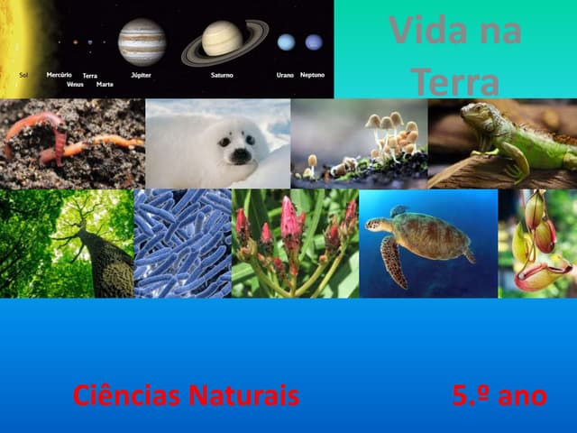 Biodiversidade