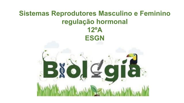 Sistemas reprodutores masculino e f...