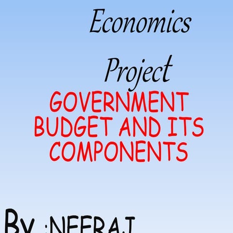 government budget
