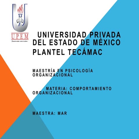 COMPORTAMIENTO ORGANIZACIONAL PRINCIPIOS