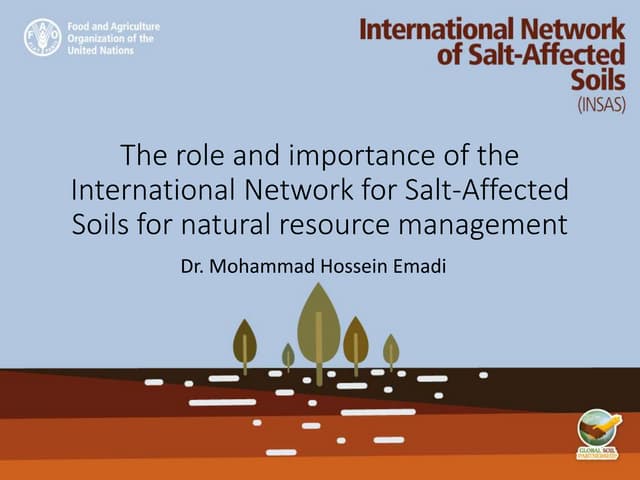 The role and importance of INSAS for natural resource management