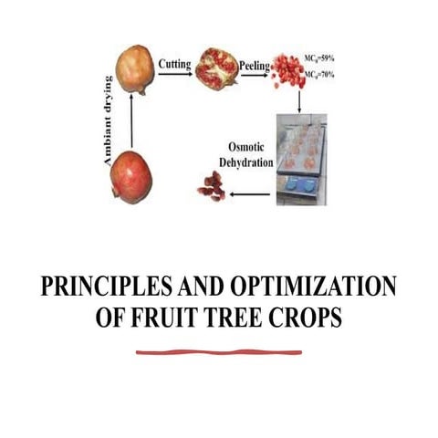 1PRINCIPLES AND OPTIMIZATION OF FRUIT TREE CROPS.pptx
