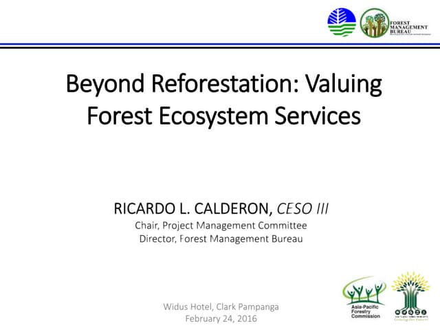 Beyond Reforestation: Valuing Forest Ecosystem Services