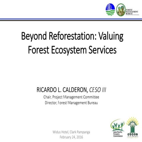 Beyond Reforestation: Valuing Forest Ecosystem Services