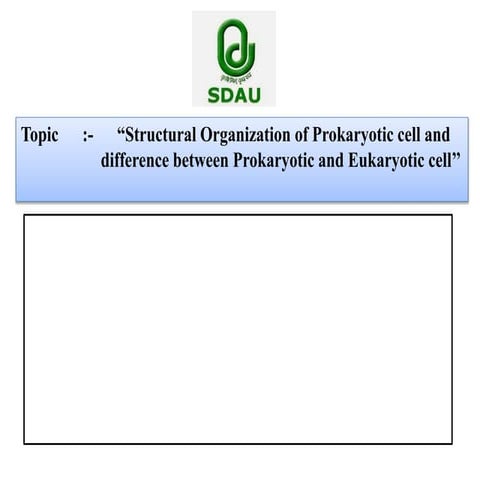 1_prokaryote and eukaryote.pptx