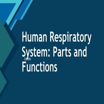 1Q_G9_1.1_Human-Respiratory-System-1.pptx