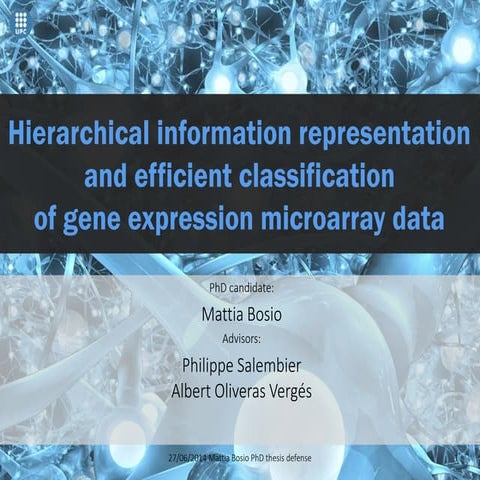 My PhD thesis presentation slides