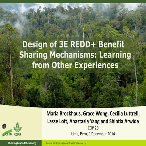 Design of 3E REDD+ Benefit Sharing Mechanisms: Learning from Other Experiences 
