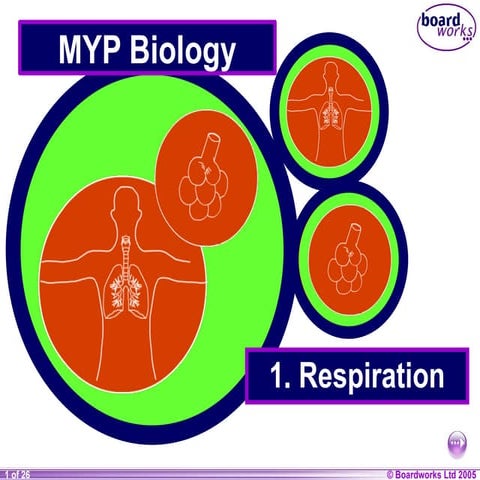Respiration 8th grade science Presentation