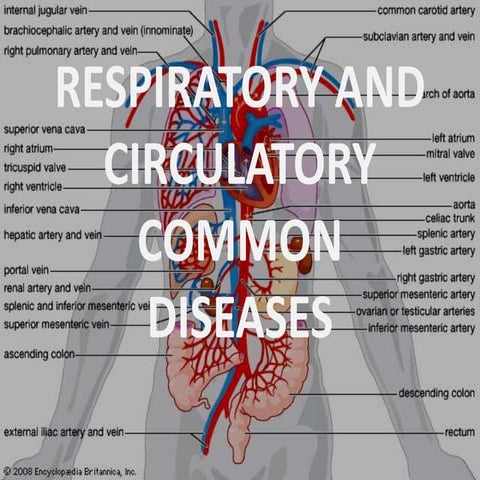 1 respiratory and circulatory common diseases