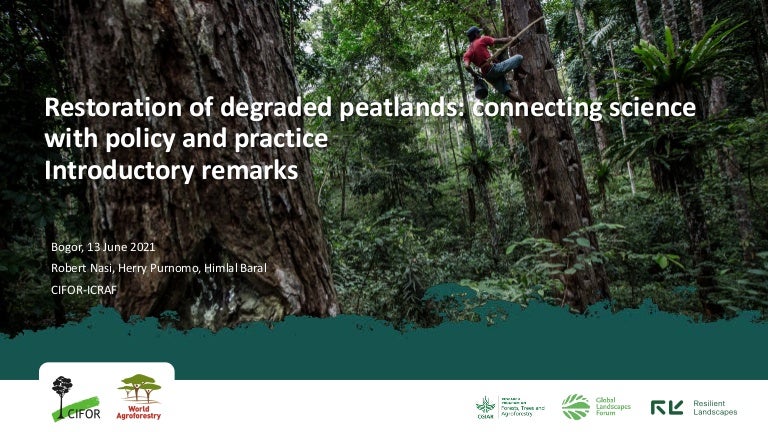 thumbnail of  Restoration of degraded peatlands: connecting science with policy and practice