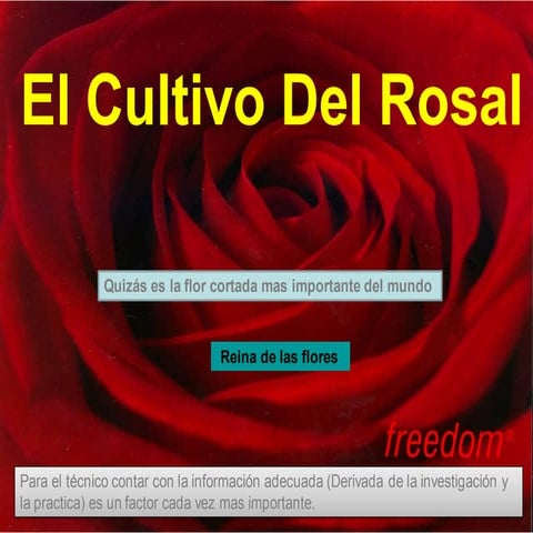 1 rosa ago-dic-2007sign-color-termin-comun-1 | PDF