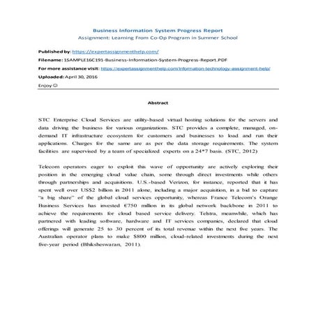 Business Information System Progress Report