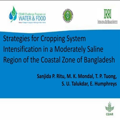 Strategies for Cropping System Intensification in a Moderately Saline Region ...
