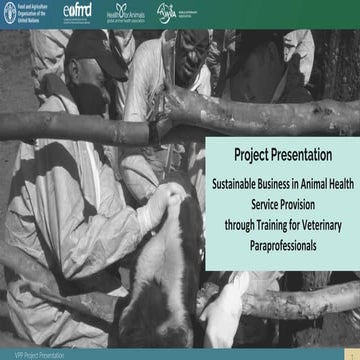 SA_Presentation for MSP Sustainable Business in Animal Health Service 