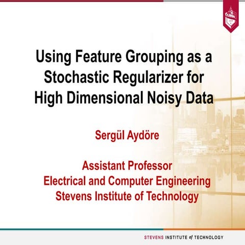 Using Feature Grouping as a Stochastic Regularizer for High Dimensional Noisy...