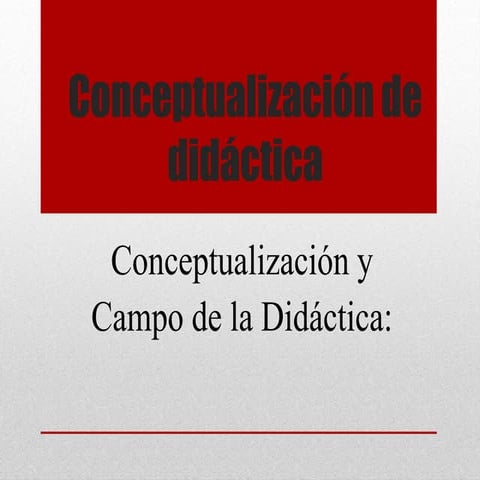 Conceptualziacion Didactica 