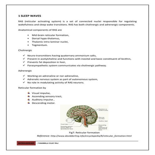 Sleep action centres 