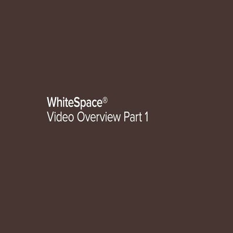 WhiteSpace at Work Video Overview Part 1