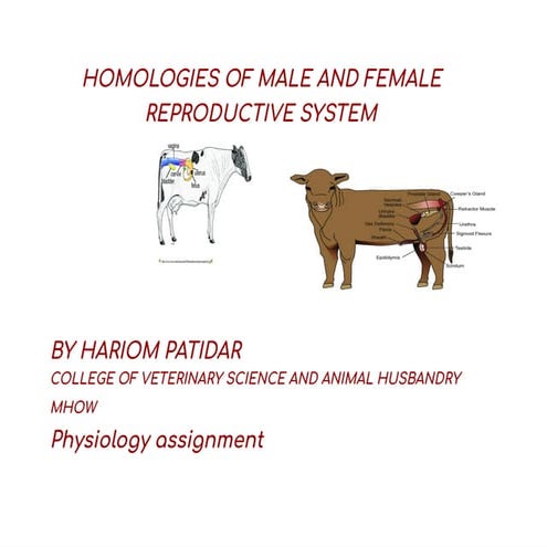 Physiology Hariom patidar 1st assignment.pdf