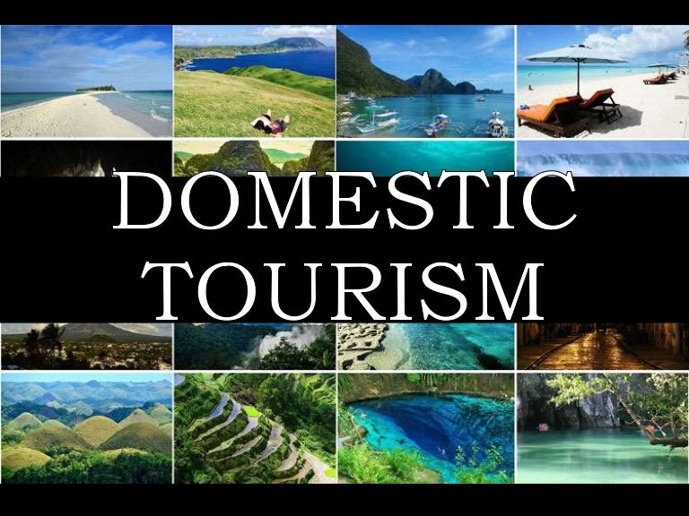 What Is Meant By Domestic Tourism?