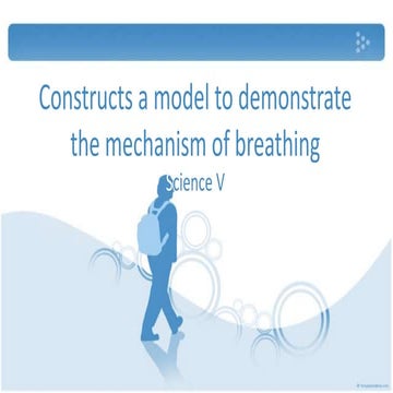 1st science 13 constructs a model to demonstrate the mechanism of breathing