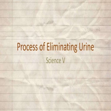 1st science 20 process of eliminating urine