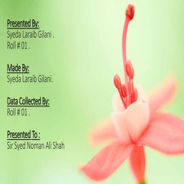 history of international relations presentation