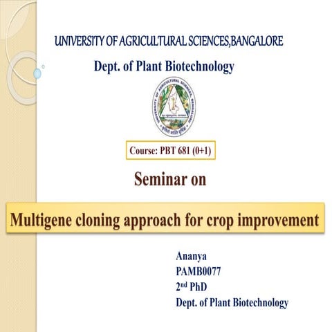 1st_Seminar_PHD.pptx