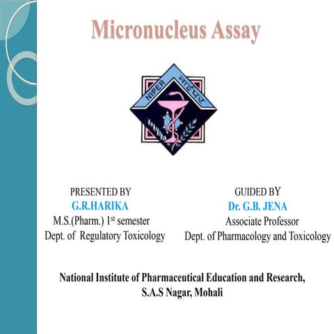Micronucleus Assay
