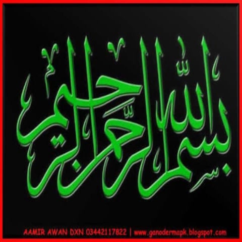 cultivation of mushrooms