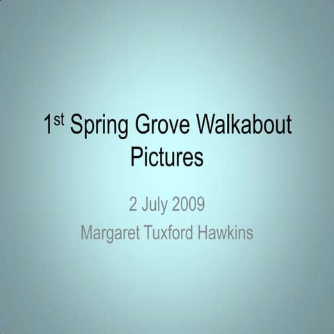 1st Spring Grove Walkabout