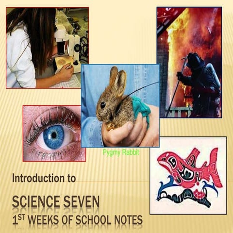 Why Is It Important To Study Science 