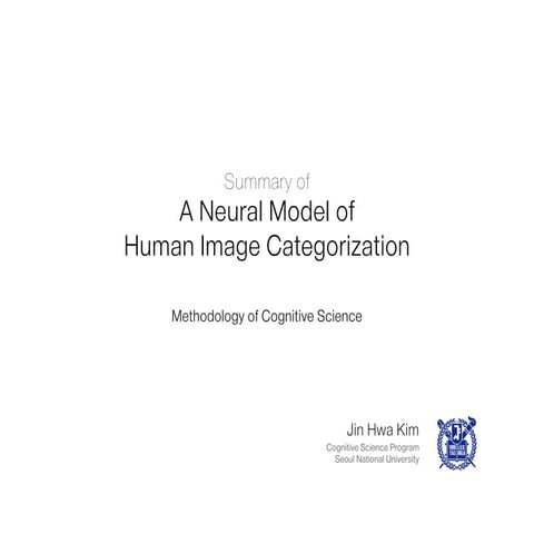 Summary of a neural model of human image categorization